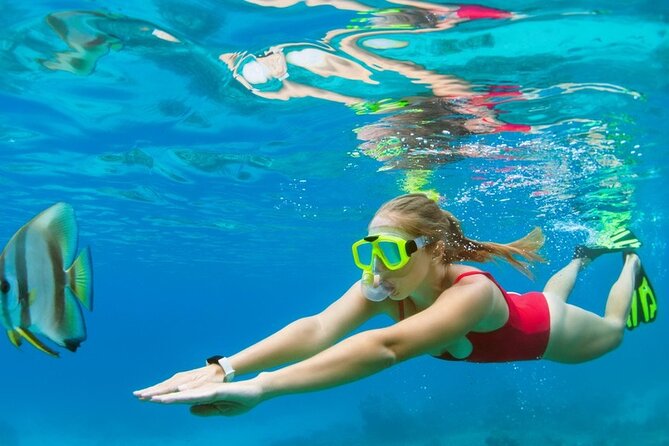 Boatride & Snorkeling then Margaritaville Hipstrip Activity - The Post-Water Plan: Driver Picks You Up and Drops You on the Hip Strip