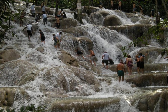Bob Marley 9 Miles Tour and Dunns River Falls - Driver Rudy and the Advantage of a Private Vehicle