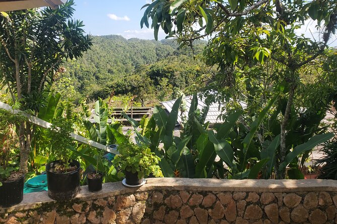Bob Marley Nine Mile Home Private Tour from Montego Bay - Price and value: is $190 per person fair?