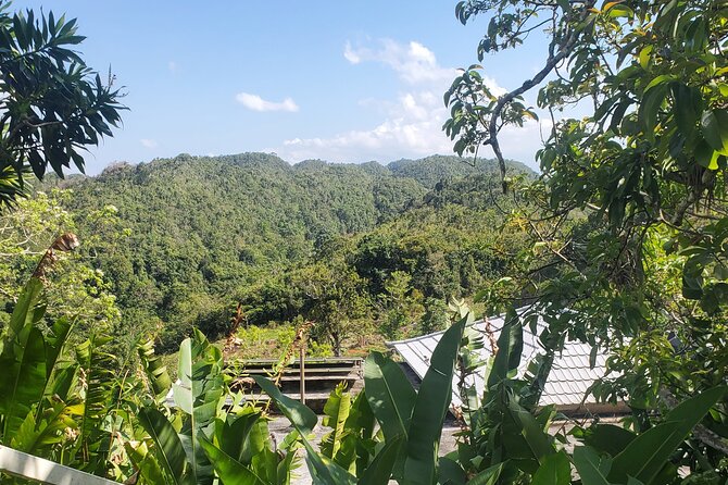 Bob Marley Nine Mile Home Private Tour from Montego Bay - Who this tour is best for (and who should pick something else)
