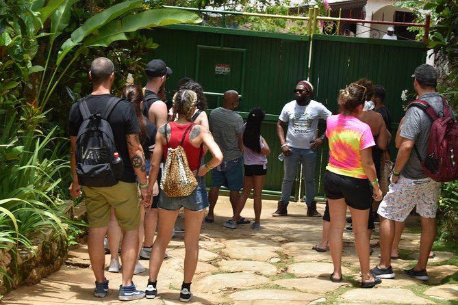 Bob Marley's Nine Mile Admission and Guided Tour from Montego Bay - From Montego Bay To Nine Miles: What The 8:30 Start Really Means