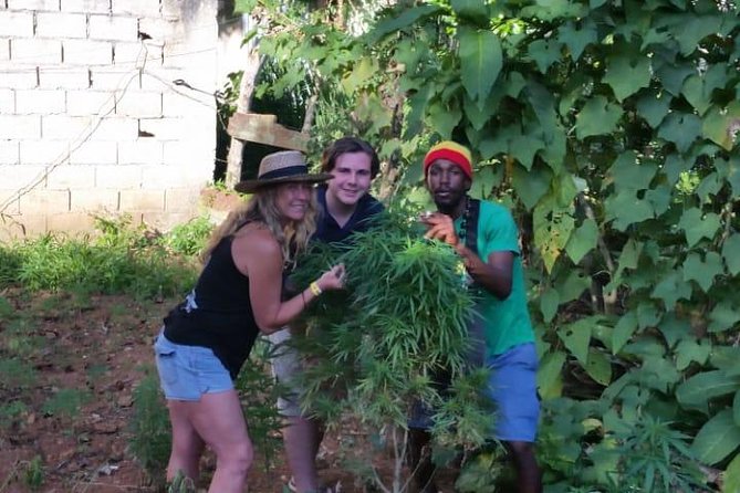 Bob Marley's Nine Mile & Dunns River Falls Tour: Transportation & Ticket - Weather and pacing: the practical things that can affect your day