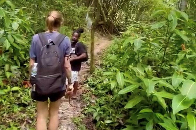 Bush Hiking to explore Wild Plants & Fresh Fruits,Montego Bay - From bamboo rafts to Lethe village, this is a real walk in the real outdoors