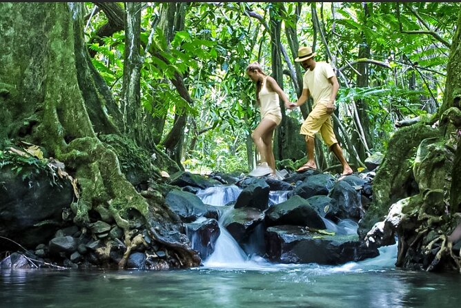 Bush Hiking to explore Wild Plants & Fresh Fruits,Montego Bay - The natural spring waterfall is where the whole tour pays off