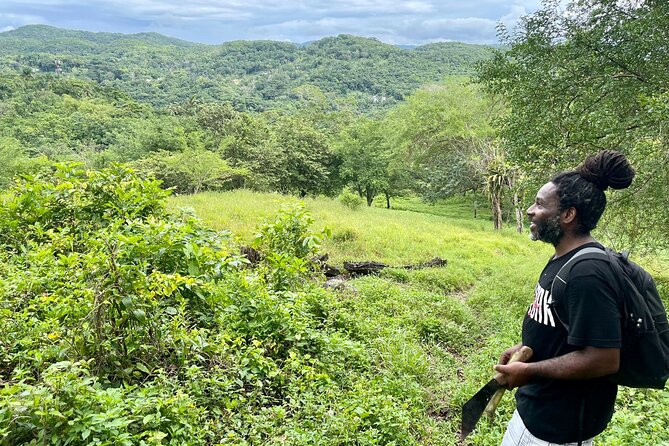 Bush Hiking to explore Wild Plants & Fresh Fruits,Montego Bay - Pickup, private transport, and why the price can make sense