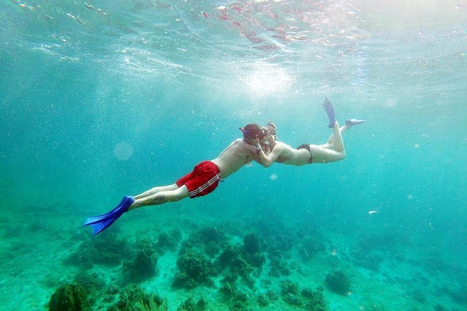 Catamaran Cruise Full Day Tour to Reef, Caves and Negril Beach - Full-Day Layout: Ocho Rios to Margaritaville, Then Negril by Boat