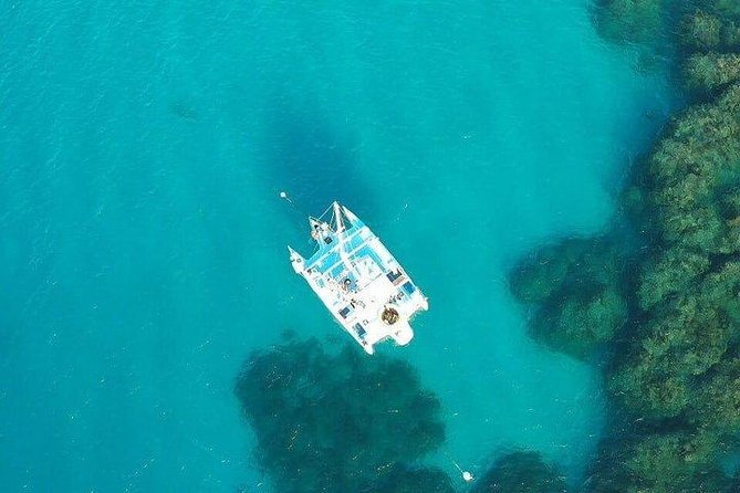 Catamaran, snorkeling & Dunn's River Falls - Key points before you go