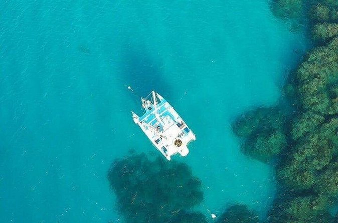 Catamaran, snorkeling & Dunn's River Falls - Climbing Dunns River Falls, plus time to swim nearby