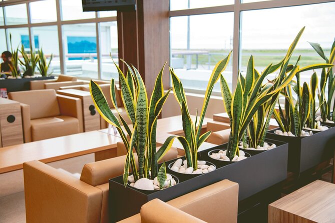 Club Mobay Sangster Airport VIP Lounge with Priority Entry - Food, Drinks, Wi-Fi, and the Extras That Matter