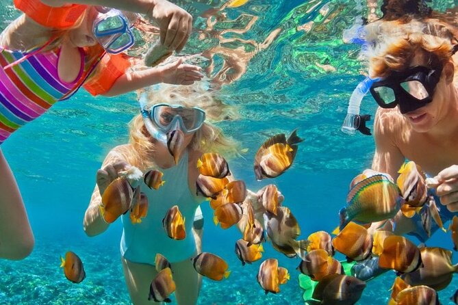 Customize Snorkeling with Option shopping Lunch & Stop local food - Key Things I’d Prioritize Before You Go