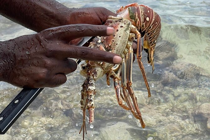 Day Trip to Negril from Montego Bay/Boat Ride to Booby Cay Island/Lobster Lunch - Getting There From Montego Bay Without Waste