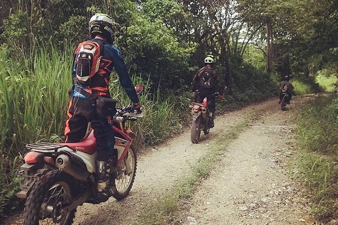 Dirt Bike Tours - Dirt bike in Kingston: what this tour actually feels like