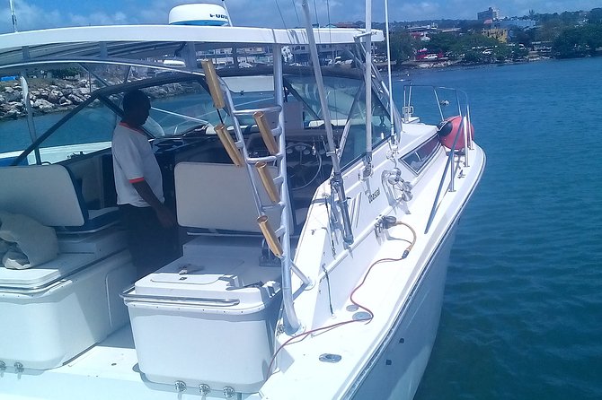 Discover Scuba Diving From Ocho Rios - Price and What It Covers, Reef Tax Included