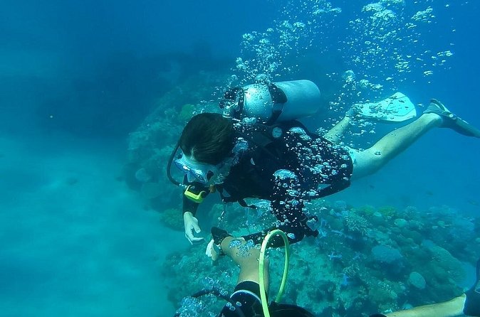 Discover Scuba Diving From Ocho Rios - The Underwater Experience: Getting Close Without Losing Control