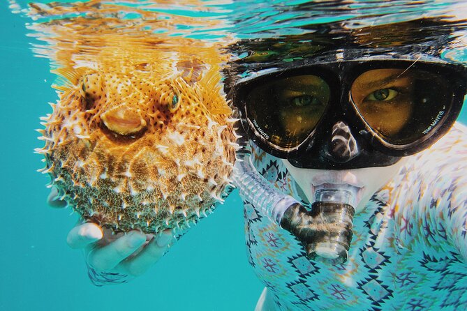 Discover Scuba Diving in Montego Bay-ONE Tank (First time Diving) - Montego Bay Start Point at Sunset Beach, Plus a Real Time Commitment