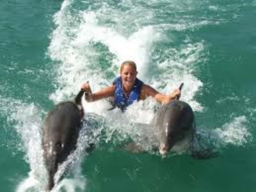 Dolphin Swim Adventure - Key Highlights You Should Know