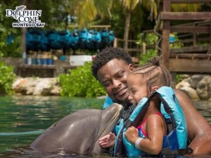Dolphin Swim Adventure - Cornwall County Jamaica and What Dolphin Cove Feels Like