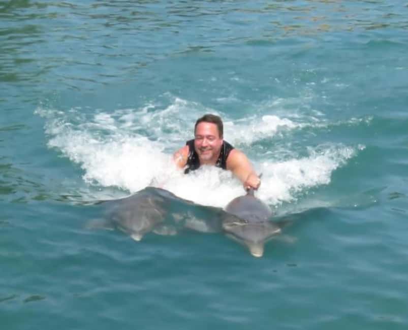 Dolphin Swim Adventure - From Trainer Briefing to Time in the Lagoon (3 Hours)