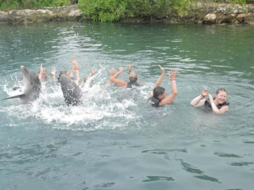 Dolphin Swim Adventure - Hotel Pickup, Private Vehicle, and Fast-Track Entry