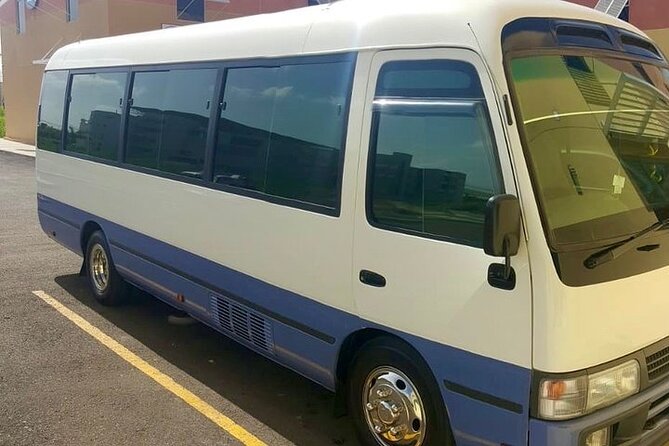 Dreams Rose Hall Resort & Spa Montego Bay Airport Transfer - Landing at the airport: representative to driver handoff