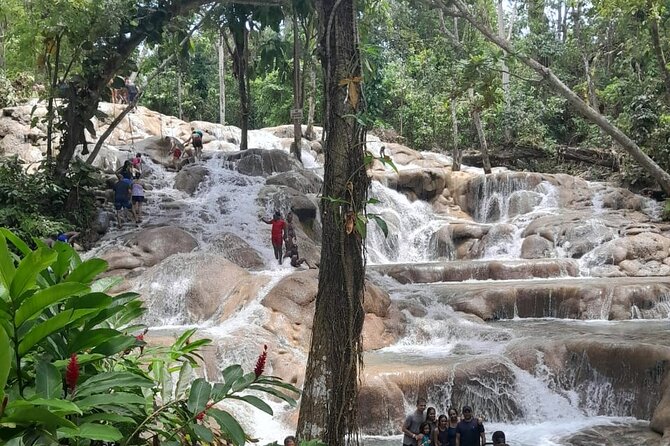 Dunn River Falls and Bamboo River Rafting in Ocho Rios Jamaica. - Timing, Group Size, and Why Your Day Runs Smooth