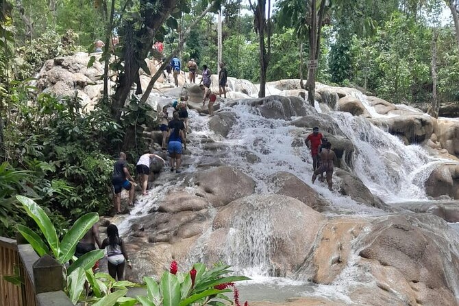 Dunn River Falls and Bamboo River Rafting in Ocho Rios Jamaica. - Who This Tour Is Best For (And Who Might Prefer Something Else)