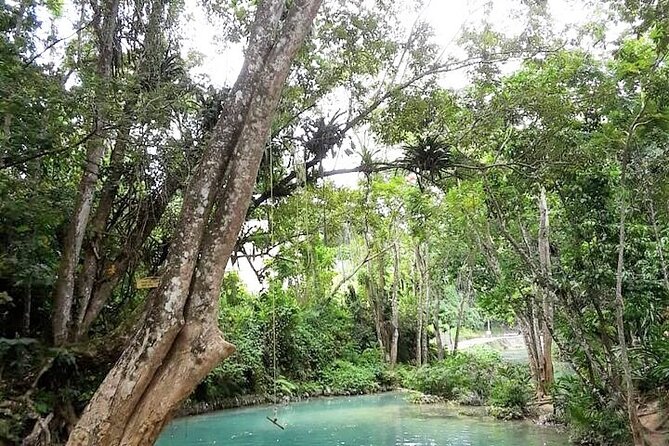 Dunn's Falls and Blue Hole Daytrip with Lunch from Montego Bay & Trelawny - Key highlights to look forward to