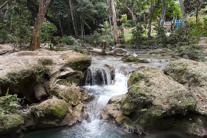 Dunn's Falls and Blue Hole Daytrip with Lunch from Montego Bay & Trelawny - Price and logistics: when $135 is a good deal