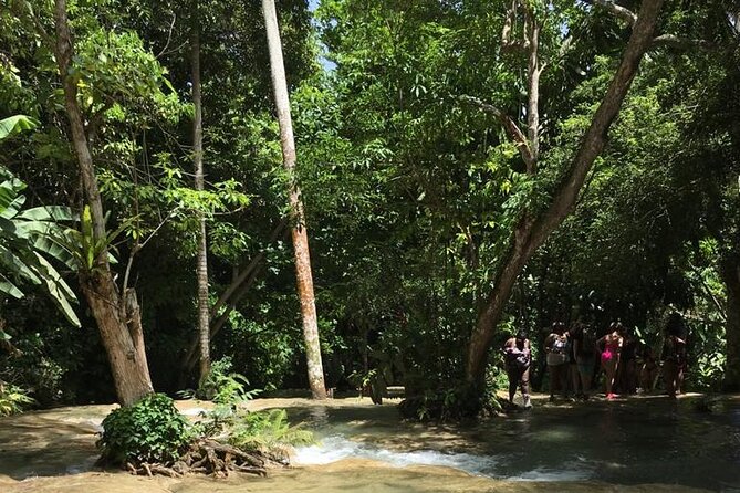 Dunn's River and Blue Hole Tour from Ocho Rios - Price and Value: Is $85 Worth It for Two Attractions?