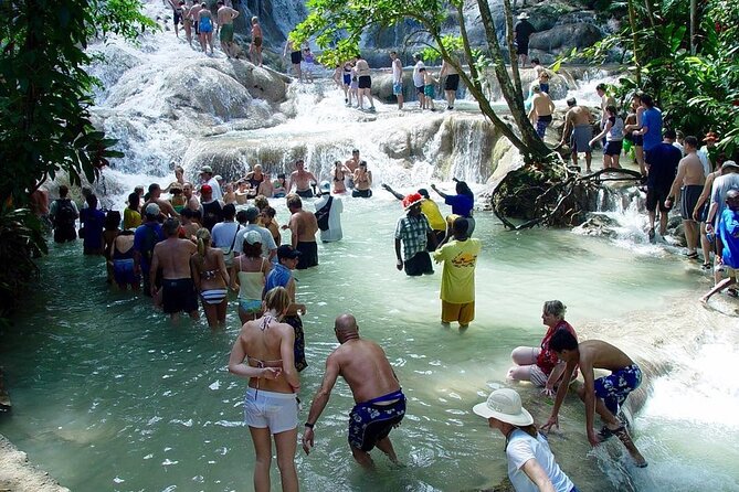 Dunn’s River Fall - Who This Private Tour Fits Best