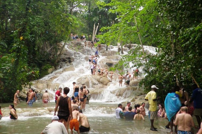 Dunn's River Falls - Key Highlights to Know Before You Go