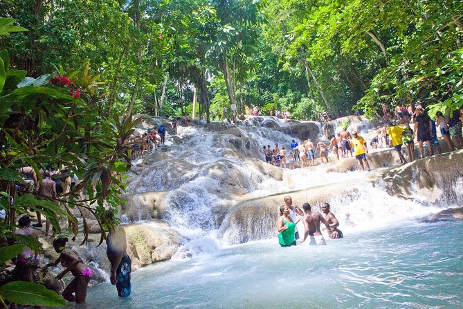 Dunn's River Falls - Private Tour Flexibility: Making the Day Fit Your Group