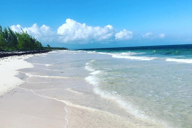 Dunn's River Falls and Beach From Ocho Rios Jamaica - Key highlights at a glance