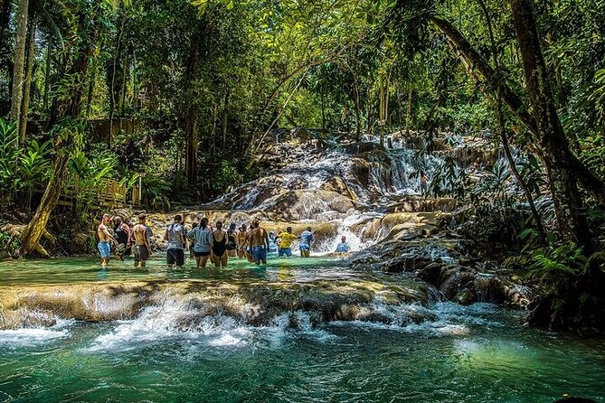 Dunn's River Falls and Bob Marley Mausoleum - Who This Tour Suits Best