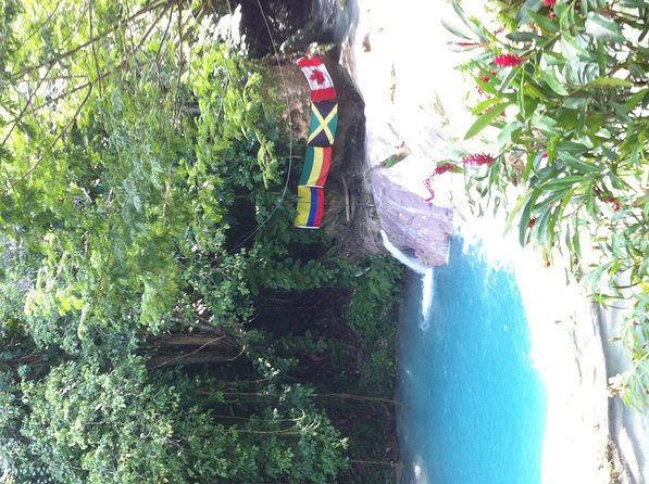 Dunn's River Falls and Jamaica Sightseeing Private Tour - A North Coast Day Trip That Feels More Personal Than a Big Bus