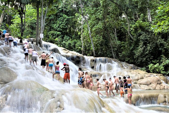 Dunn's River Falls and Ocho Rios Shopping Tour from Montego Bay Hotels - Key Points You Should Know Before You Go