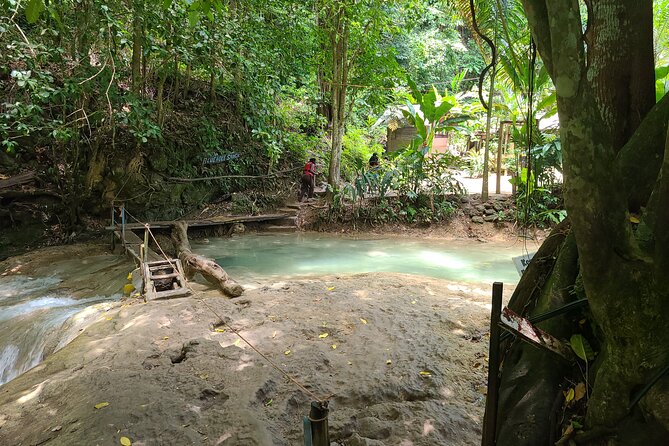 Dunn's River Falls & Blue Hole from Montego Bay or Falmouth - Price and value: what $99.99 really covers