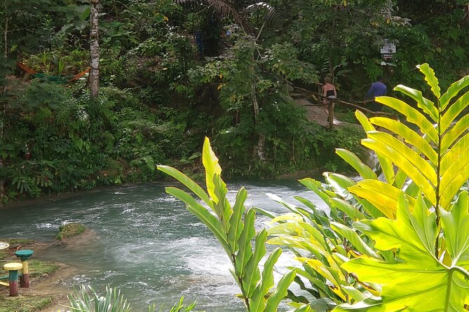 Dunn's River Falls & Blue Hole Tour from Montego Bay - Who should book this falls and hole combo