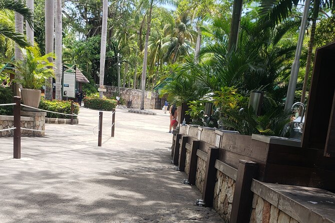 Dunn's River Falls & Blue Hole Tour from Montego Bay - Stop 1: Dunn’s River Falls climb and what to expect