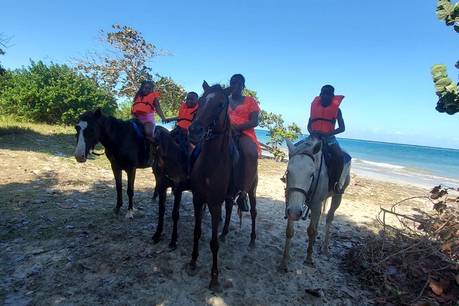 Dunn's River Falls Climb, Zipline and Horseback Riding Private Tour - Getting to Ocho Rios comfort-first from Montego Bay or Negril