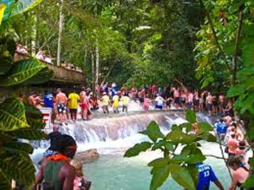 Dunn's River Falls Day Tour - Should you book this Dunn’s River Falls day tour?