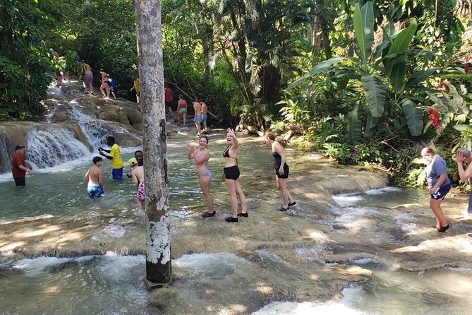 Dunn's River Falls Half Day Tour From Montego Bay - Dunn’s River Falls: your main event and what to expect