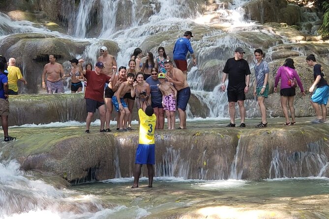 Dunn's River Falls Half Day Tour From Montego Bay - Who this tour fits best