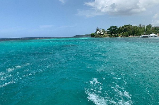 Dunn's River Falls Party Cruise, Blue Hole with Snorkeling, free beverages - The Party Catamaran Cruise: Open Bar, DJ Energy, and a Real Break