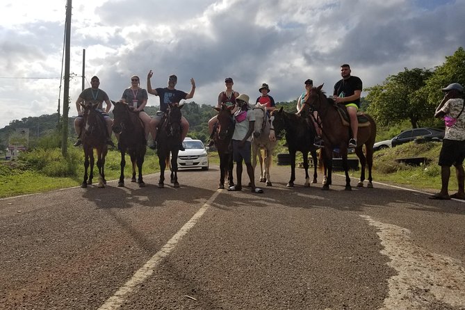 Dunn's River Falls, River Tubing, and Horseback Riding With Transportation - Dunn’s River Falls: The Stair-Step Hike and What to Expect