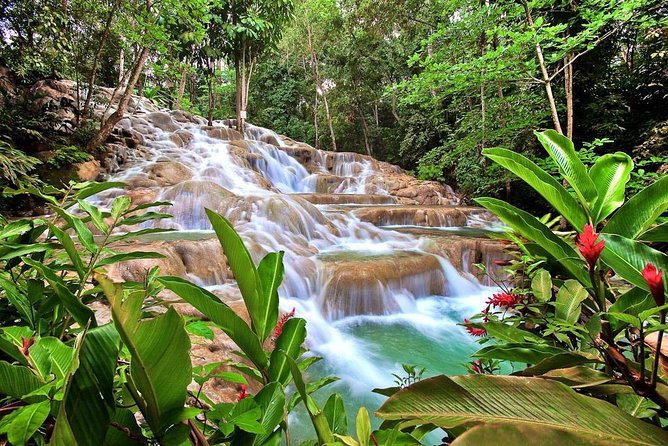 Dunn's river falls, shopping and lunch - Key Highlights You’ll Feel Immediately