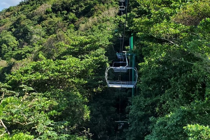 Dunn’s River Falls,Zip lining & horseback riding Combo tour from Montego Bay - Keeping it private, with your group moving as one