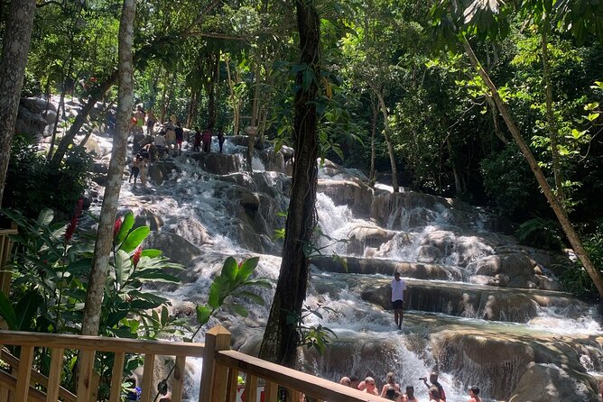 Dunn's River Falls, Zipline Adventure from Kingston - Ziplining over Dunn’s River: the rush, the view, and the timing right after the climb