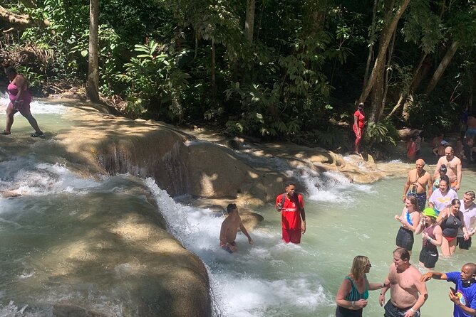 Dunn's River Falls, Zipline Adventure from Kingston - Price and value: what $249 includes and why that bundling matters