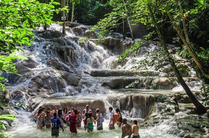 Dunn's River, River Tubing and Lunch Combo - Price check: is $165.50 per person actually good value?